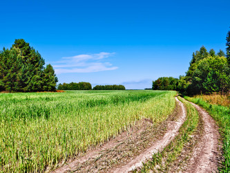 Similar image 784528