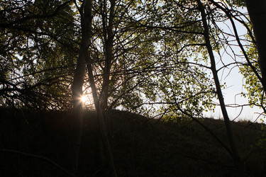 Similar image 784530