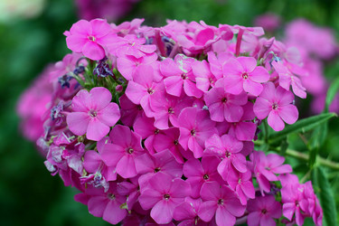 Similar image 784532