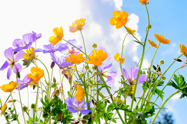 Similar image 784543