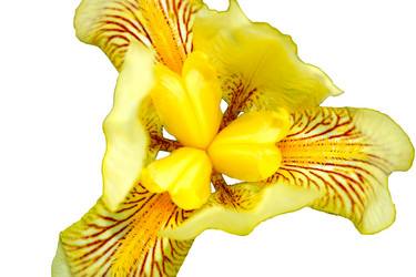 Similar image 784544