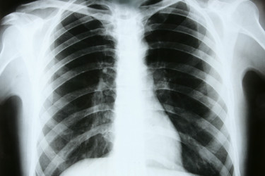 Similar image 784550