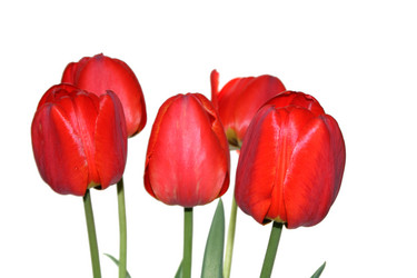 Similar image 784560