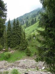 Similar image 784563