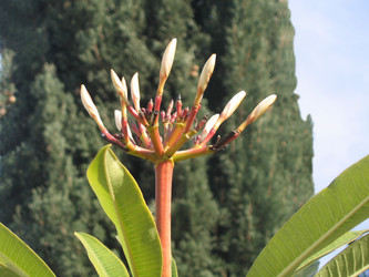 Similar image 784608