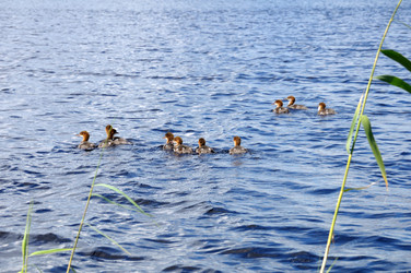 Similar image 784624