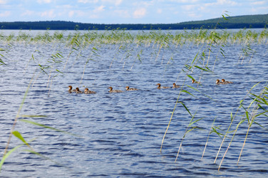 Similar image 784625