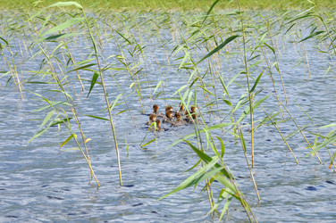 Similar image 784626