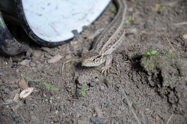 Similar image 784647