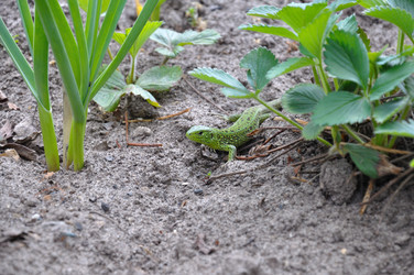 Similar image 784648