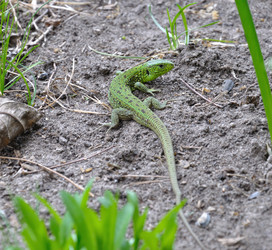 Similar image 784649