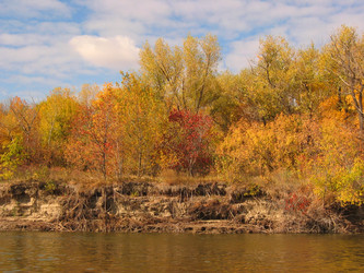 Similar image 784653