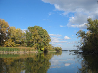 Similar image 784679