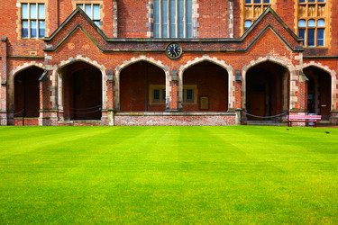 Similar image 784696