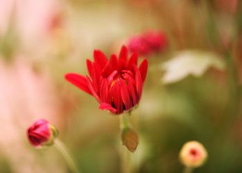 Similar image 784714