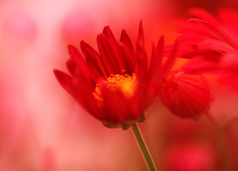 Similar image 784729