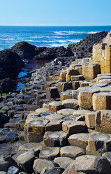 Similar image 784737