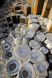 Similar image 784738