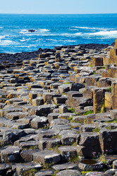 Similar image 784743