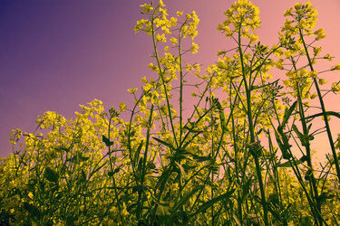 Similar image 784752