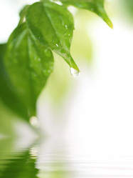 Similar image 784760