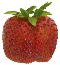 Similar image 784764