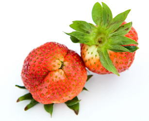 Similar image 784767