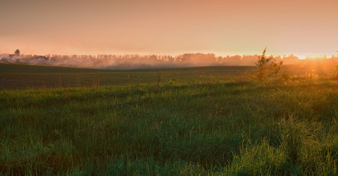 Similar image 784768