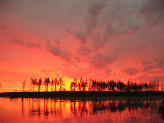 Similar image 784790