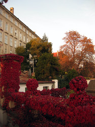 Similar image 784801