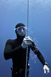 Similar image 784808