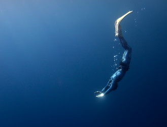 Similar image 784810