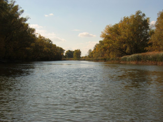 Similar image 784835