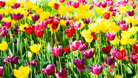 Similar image 784851