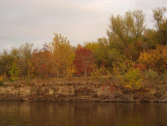 Similar image 784852