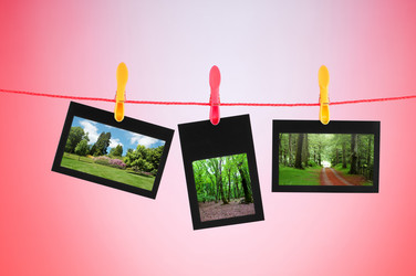 Similar image 784857