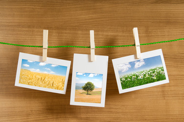 Similar image 784858