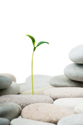 Similar image 784890