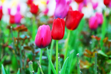 Similar image 784893