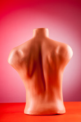 Similar image 784895