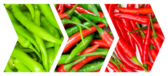 Similar image 784922