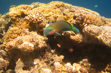 Similar image 784966