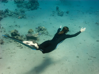 Similar image 784986