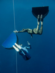 Similar image 784988