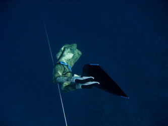 Similar image 784992