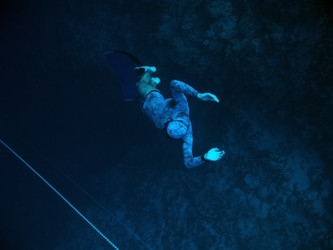 Similar image 785029