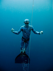 Similar image 785031