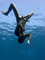 Similar image 785035