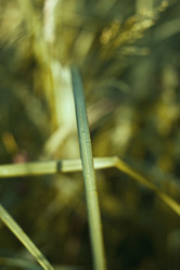 Similar image 785055