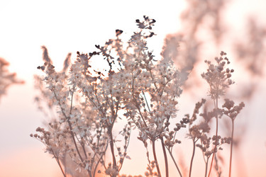 Similar image 785056